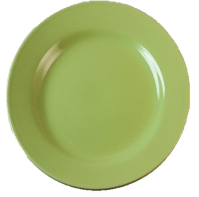 BIONA PLATO PLAYO VERDE 24cm