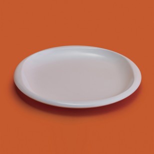 PLASTILOZA PLATO PLATO  REDONDO 23cm