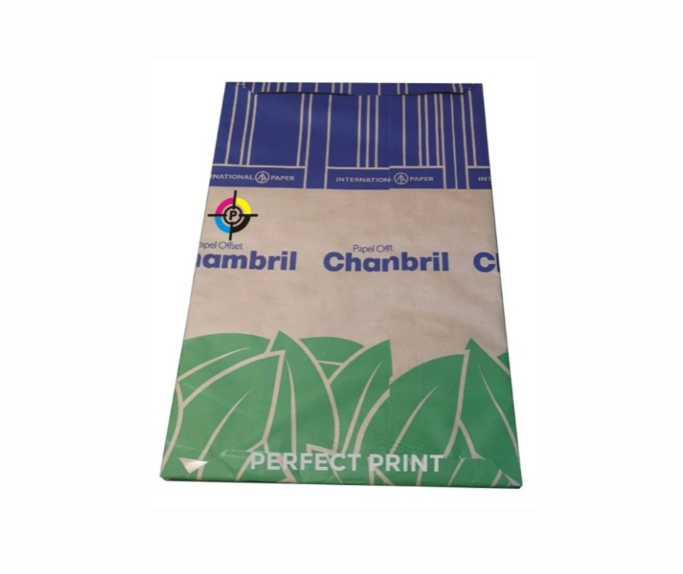 PAPEL CHAMBRIL 120G A4 200H