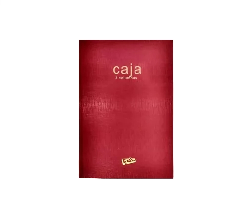 LIBRO RAB CAJA T/D 22X33 3 COLUMNAS