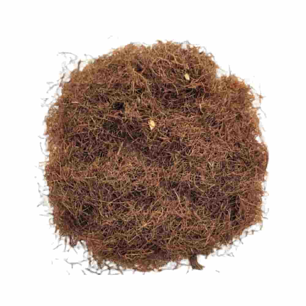 ESTIGMA DE MAIZ O BARBA DE CHOCLO KG