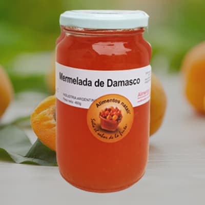 MERMELADA DE DAMASCO X460G NATALI