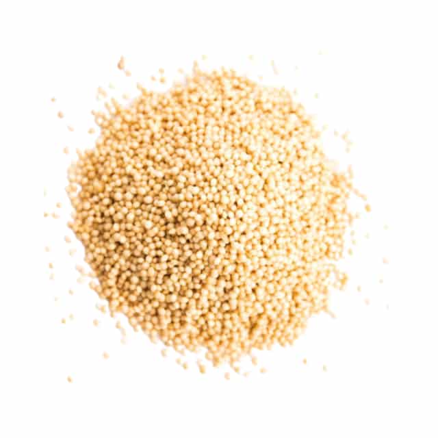 **AMARANTO SEMILLAS KG