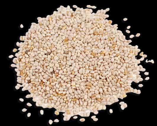 SEMILLAS CHIA BLANCA KG