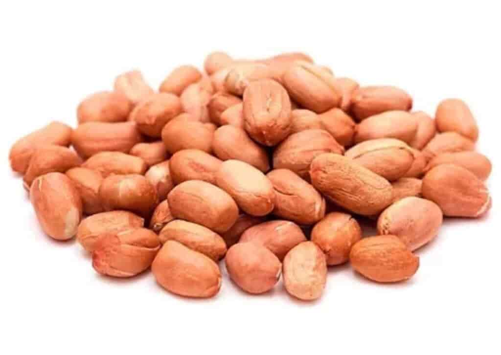 MANI RUNNER (GARRAPIÑERO) KG