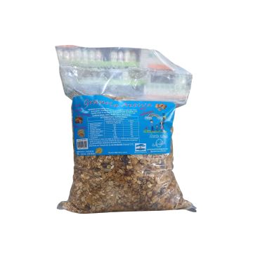 GRANOLA ACTIVA 900GR ARCHIMBOLDO