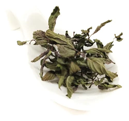 YERBA BUENA HOJAS KG