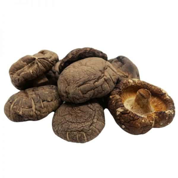 HONGOS SHITAKE ENTEROS (TALLO CORTO) KG