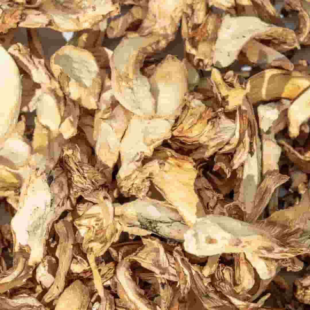 HONGO SECO GIRGOLAS KG