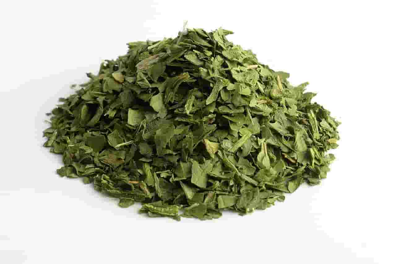 ESPINACA KG