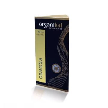 DESODORANTE ROLL-ON VEGANO ALOE VERA Y TE VERDE HOLISTICA 60ML BOTANIKA