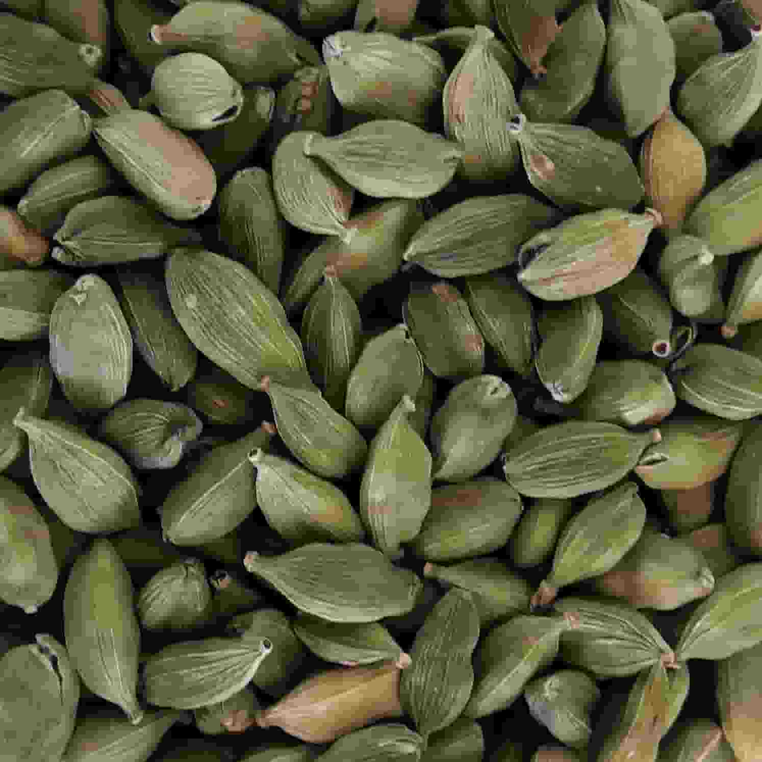 CARDAMOMO KG