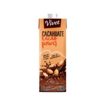 LECHE DE CACAHUATE CACAO POWER X1LT VIVET