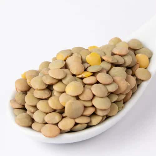 **LENTEJON CANADA KG