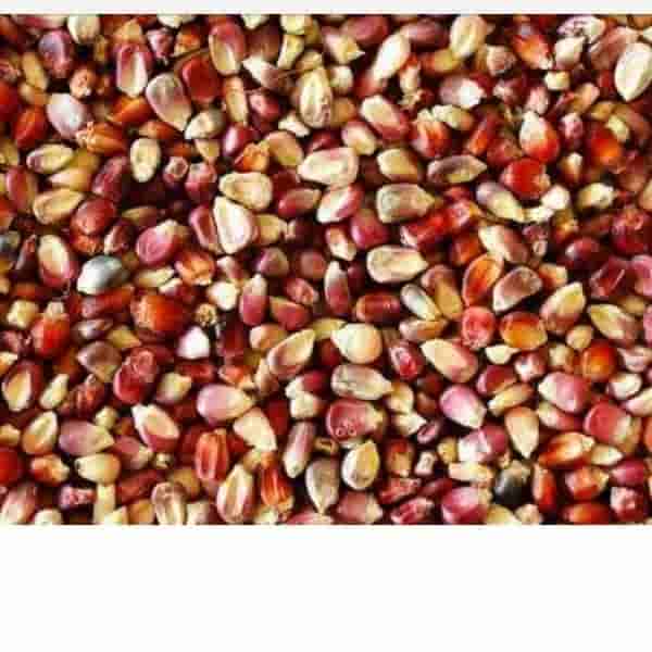 MAIZ PISADO COLORADO KG