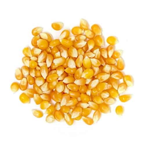 **MAIZ PISINGALLO KG