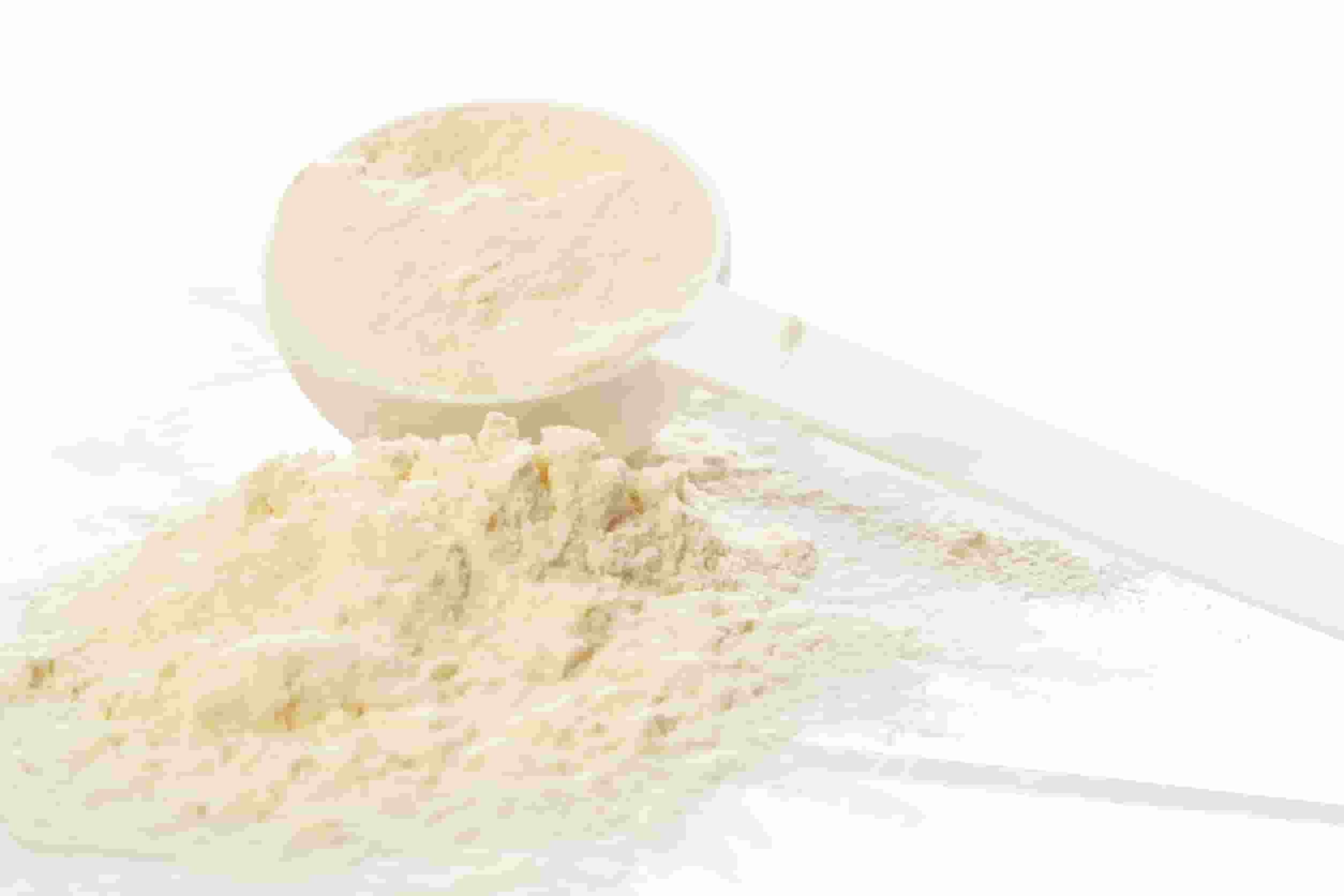 ALBUMINA EN POLVO KG