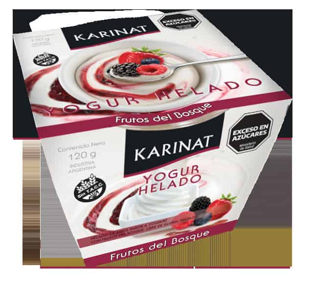 YOGURT HELADO FRUTOS DEL BOSQUE X120GR KARINAT