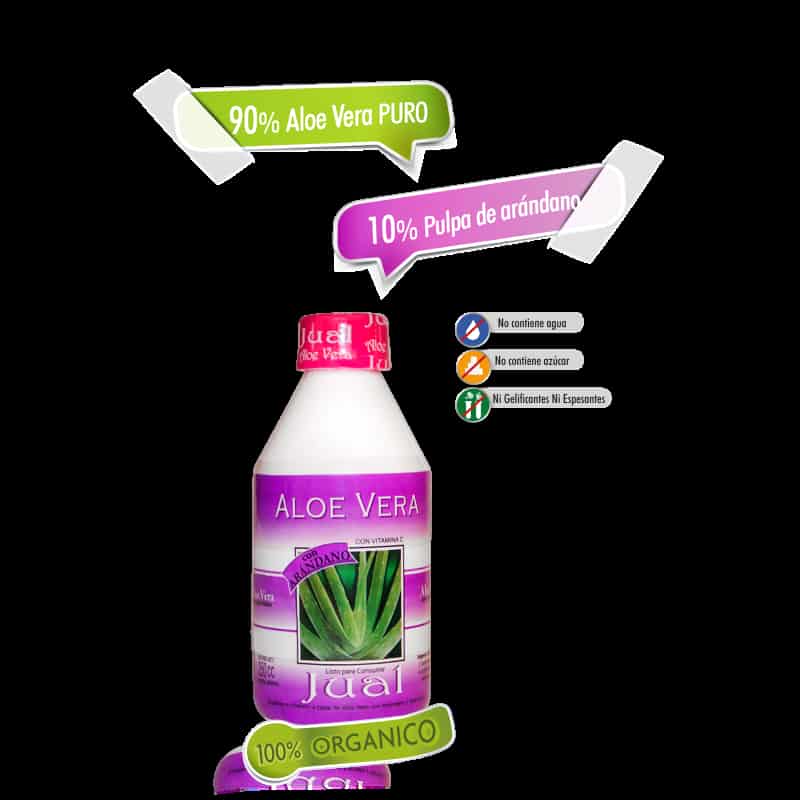 JUGO DE ALOE SAB/ARANDANO X250 JUAL
