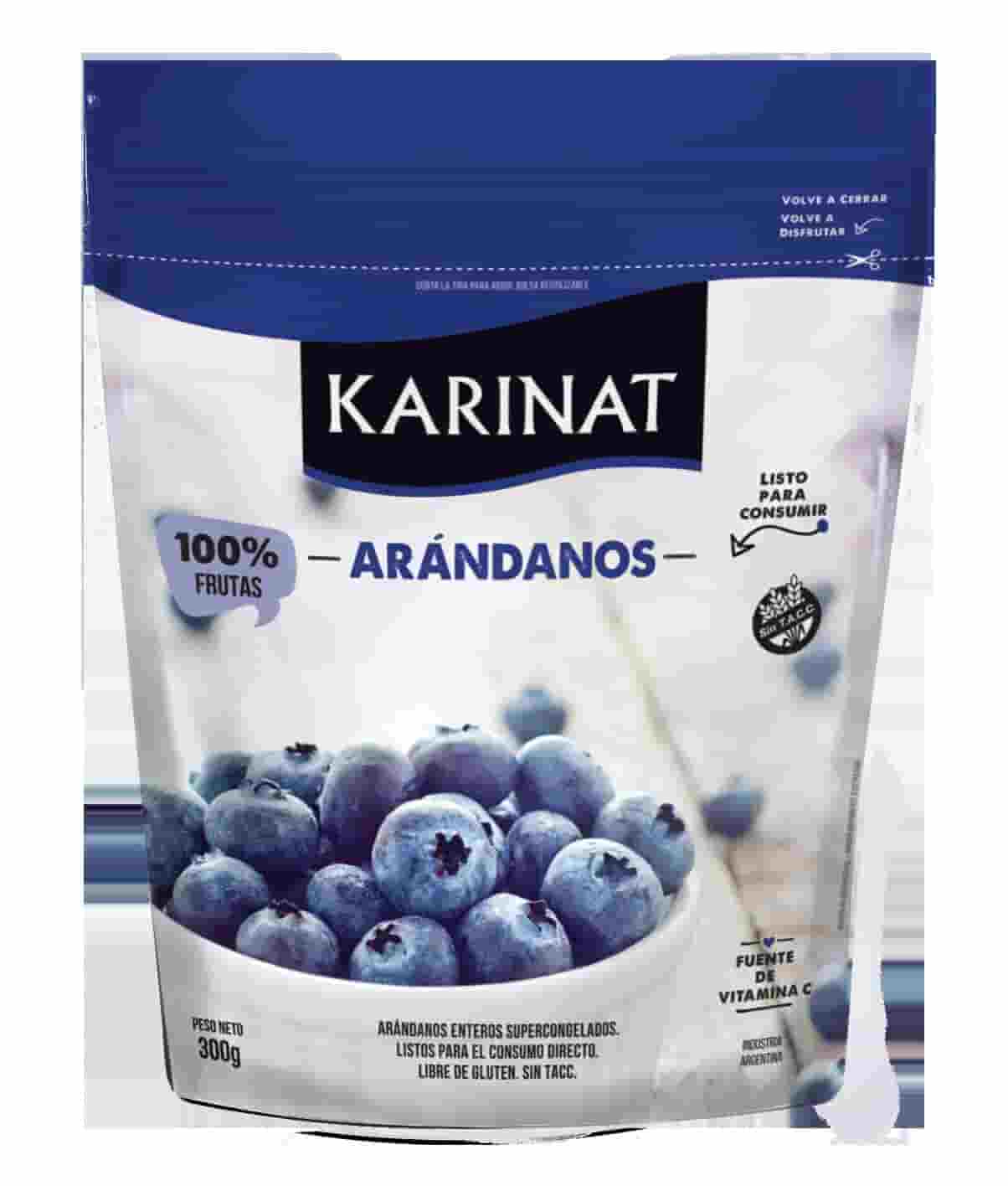**ARANDANOS CONGELADOS DOYPACK 300GR KARINAT