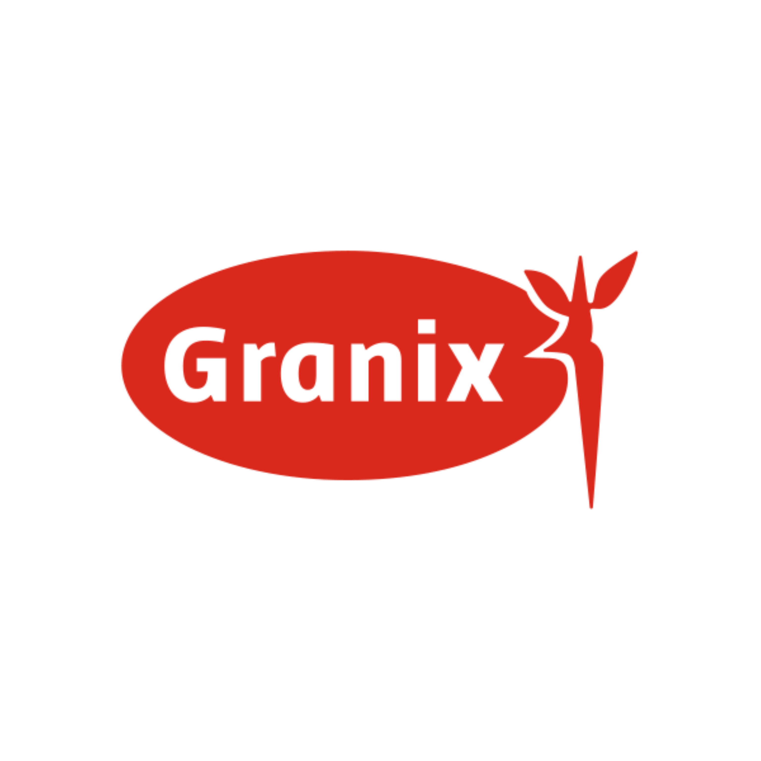 GRANIX