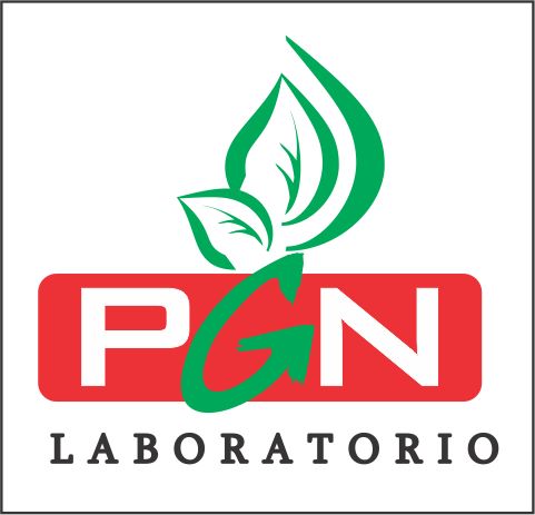 PGN ANDINO